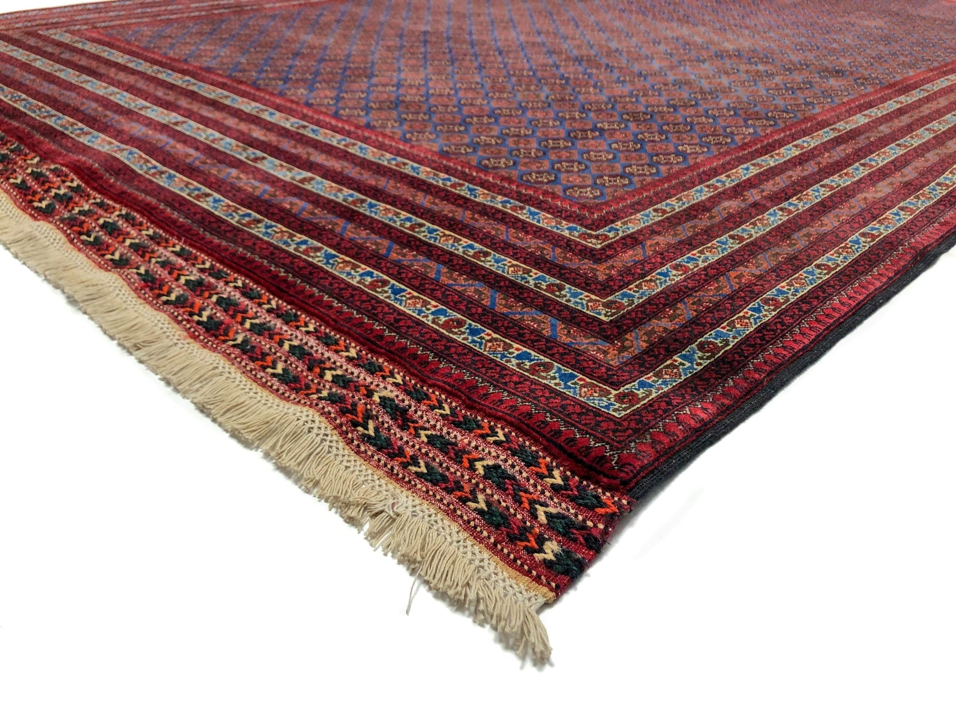 Balouch-Bokhara (6'06"x10'05") blue/dk.red-4