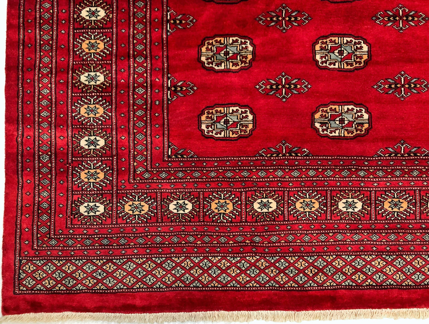 Salor Bokhara (9'02"x11'09") deep red-1