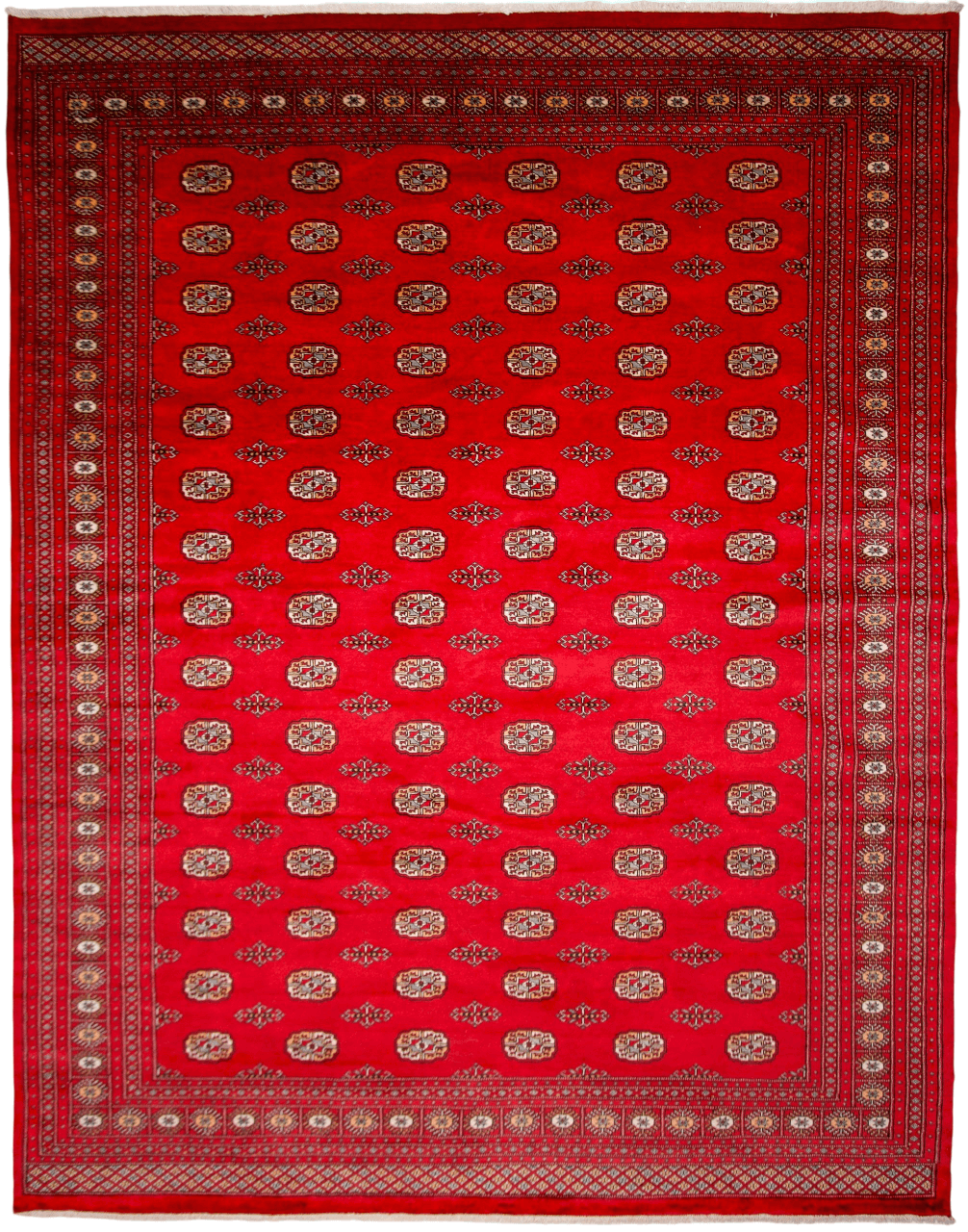 Salor Bokhara (9'02"x11'09") deep red-0