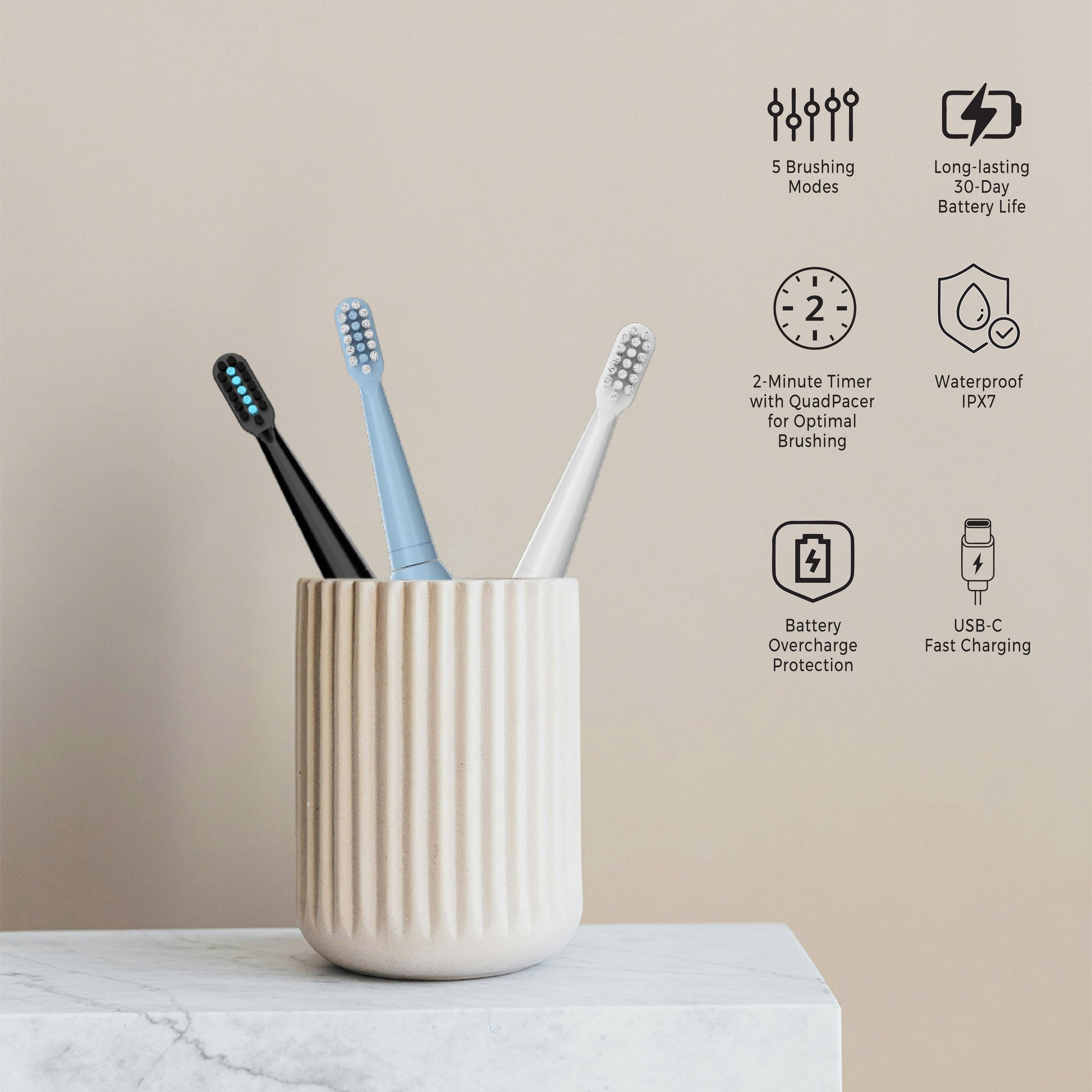 USB Rechargeable Electric Toothbrush with 12 Brush Heads-2