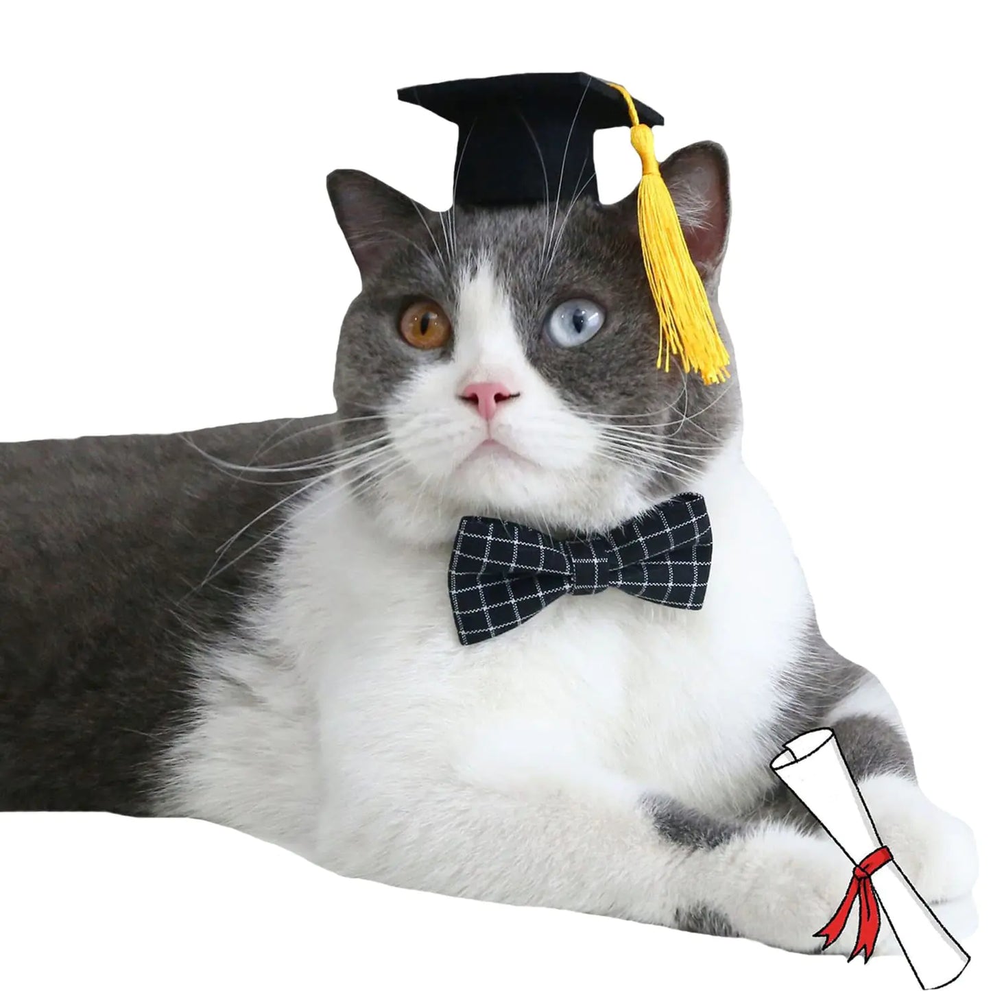 Cat Graduation Cap and Bow Tie Set