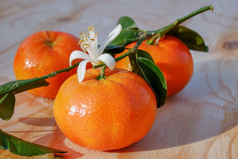 Tangerine Sunshine - Premium Fragrance Oil