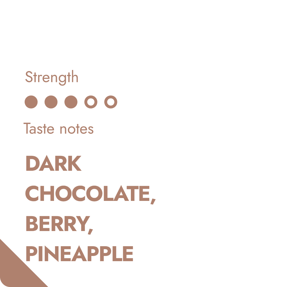 TANZANIA COFFEE BEANS-1