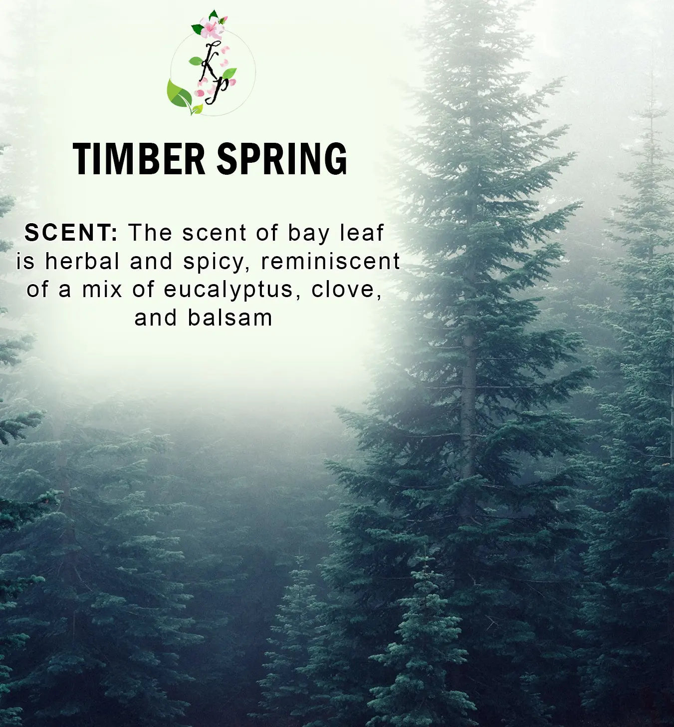 Timber Spring Natural Organic Body Lotion 12oz-1