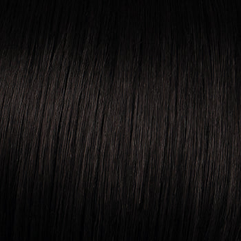 Raquel Welch Winner Premium Wig