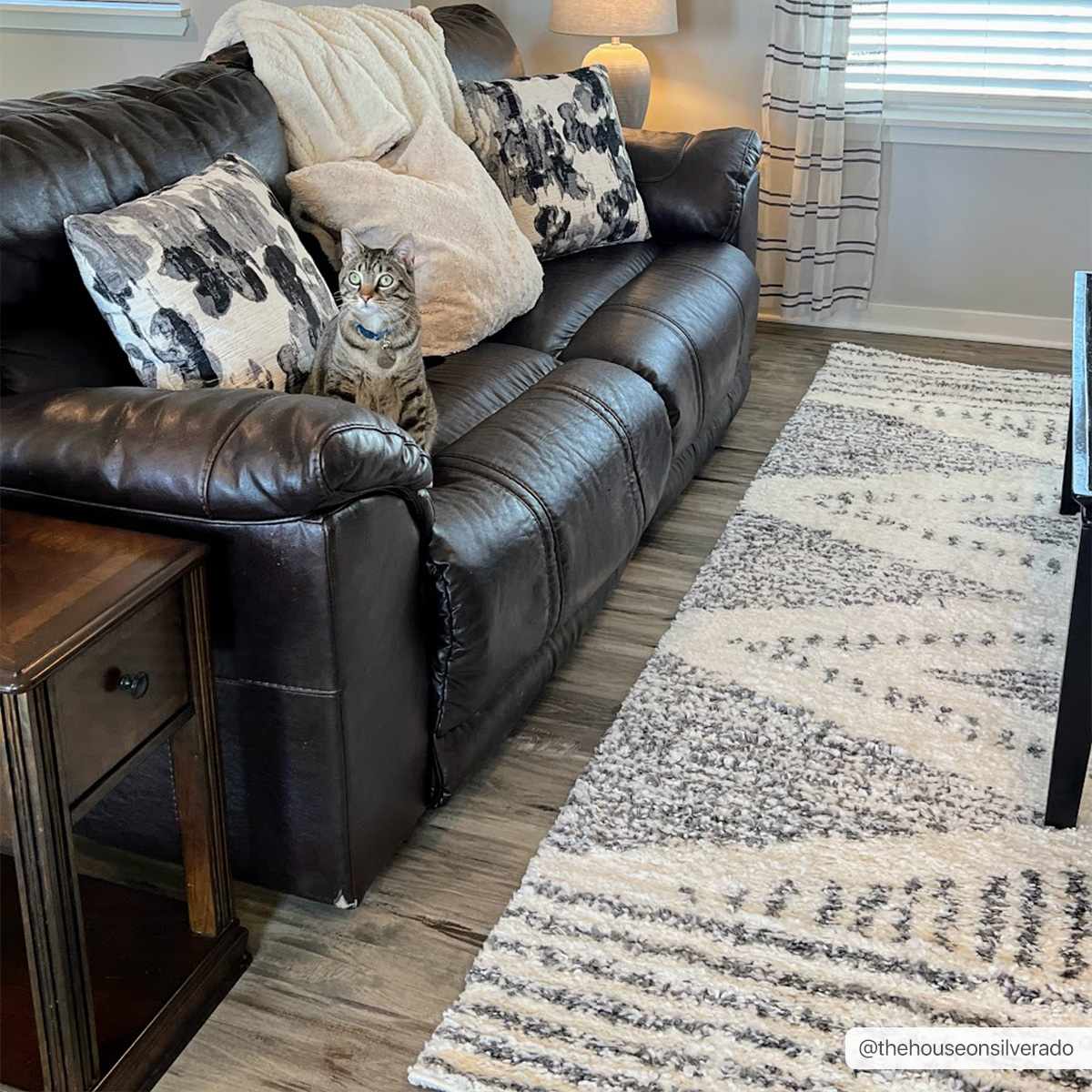 Trunding Plush Area Rug-2