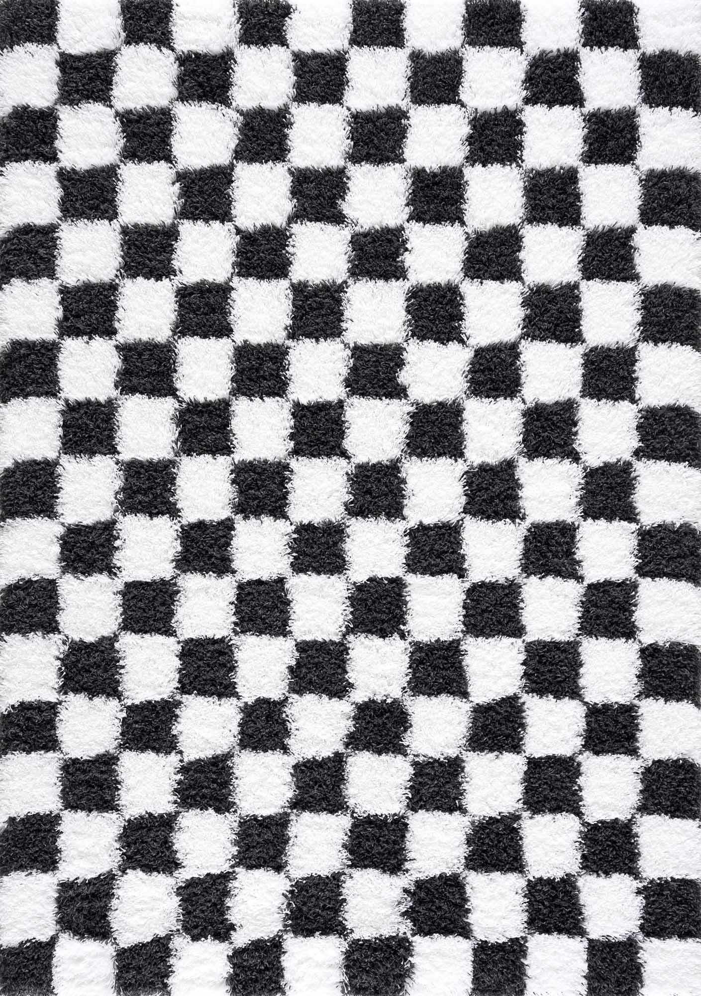 Atira Black & White Checkered Area Rug-1