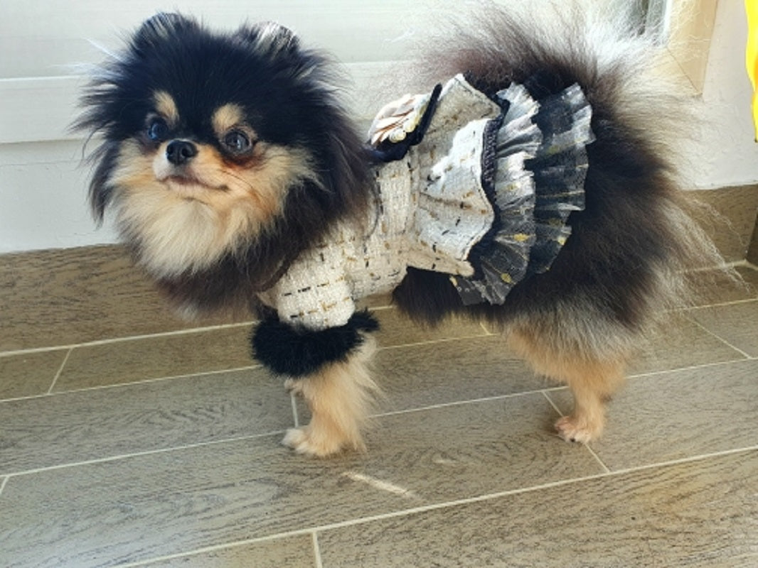 Handmade Luxury Tweed Dog Dress with Fur Trim | Designer Small Dog Coat Dress