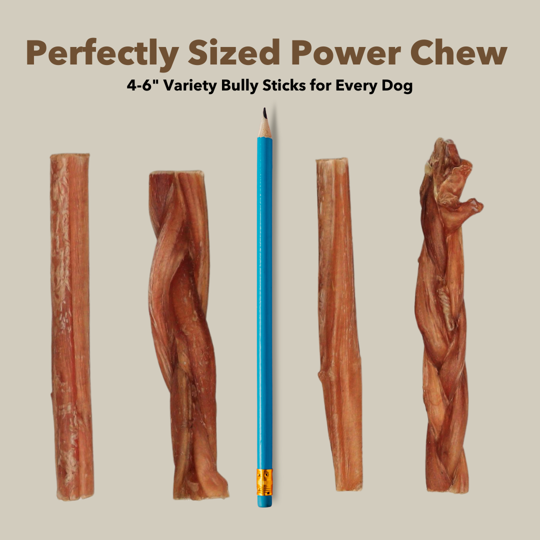 4-6" Variety Bully Sticks-4