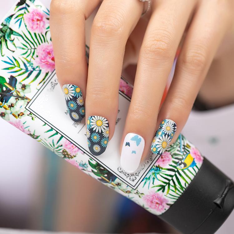 Daisy's and Butterflies-2