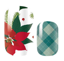 Christmas Poinsettia-1