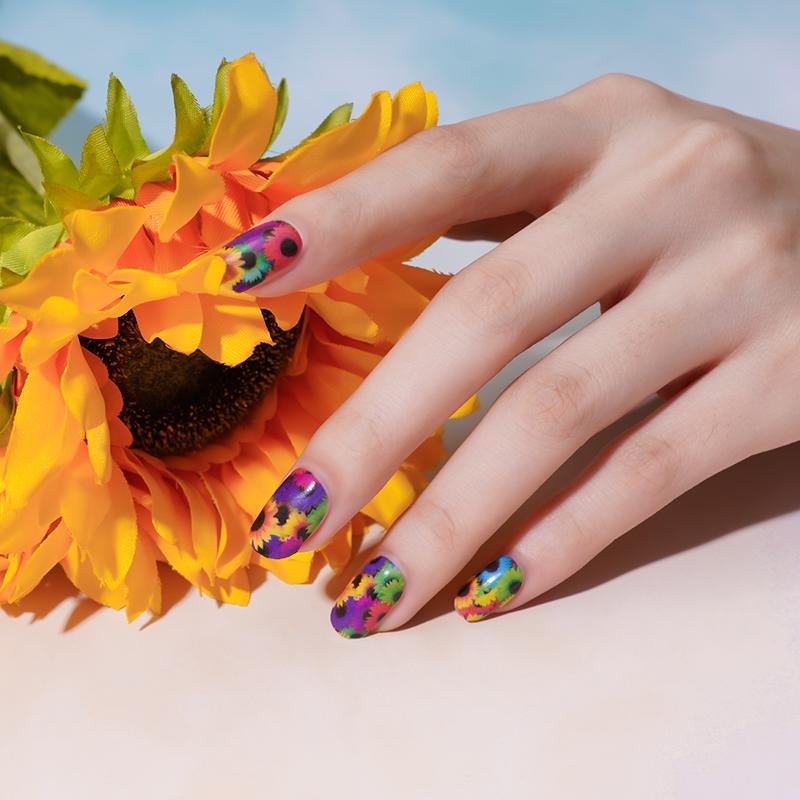 Sunflower Colors-0