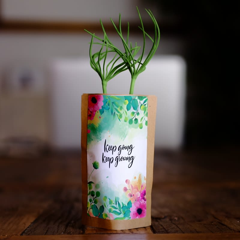 Keep going, keep growing - Plants 10 Trees-0