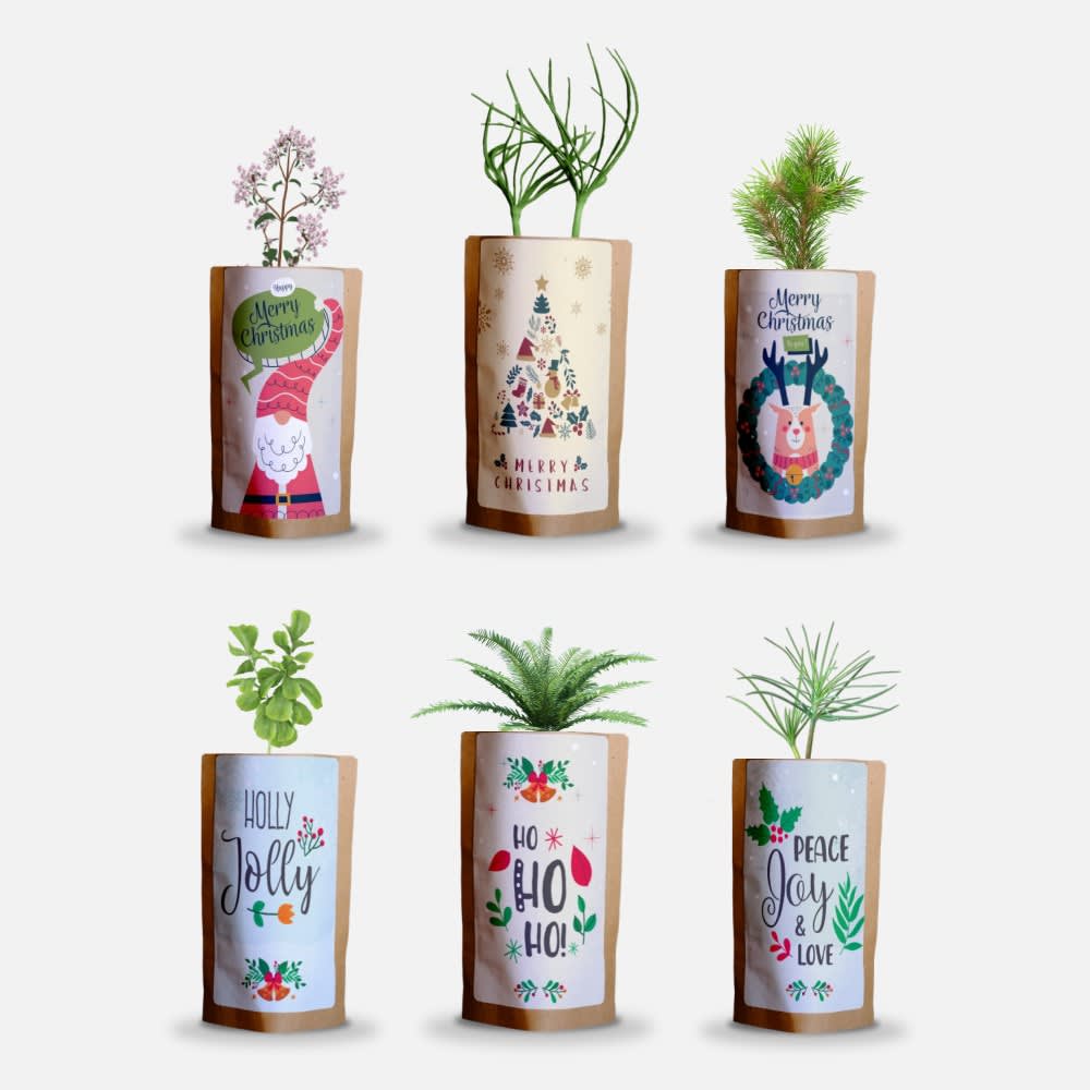 Merry Christmas Holiday Greetings Pack, We Plant 60 More Trees-0