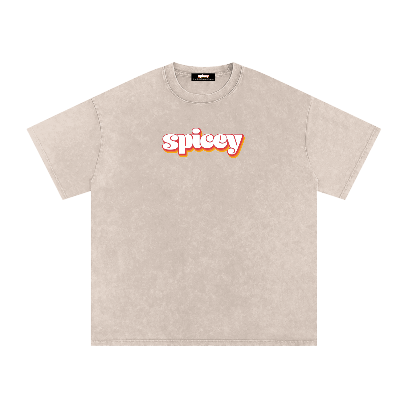 Spicey Vintage Logo Oversized T-Shirt-2