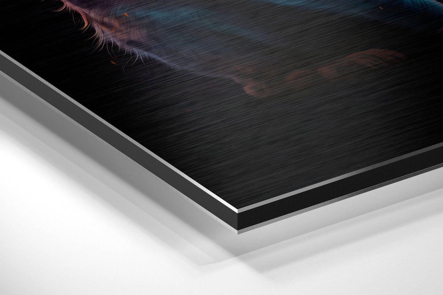 Cat Brushed Aluminum Dibond Wall Art