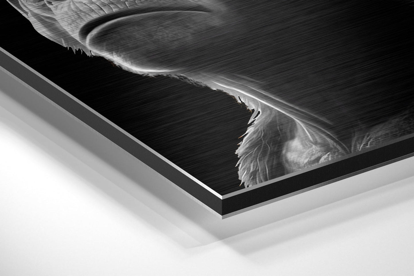 3 Wise Monkeys Brushed Aluminum Dibond Wall Art