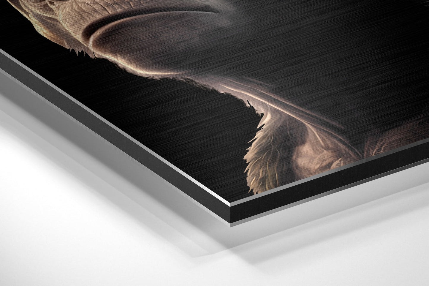 3 Wise Monkeys Brushed Aluminum Dibond Wall Art