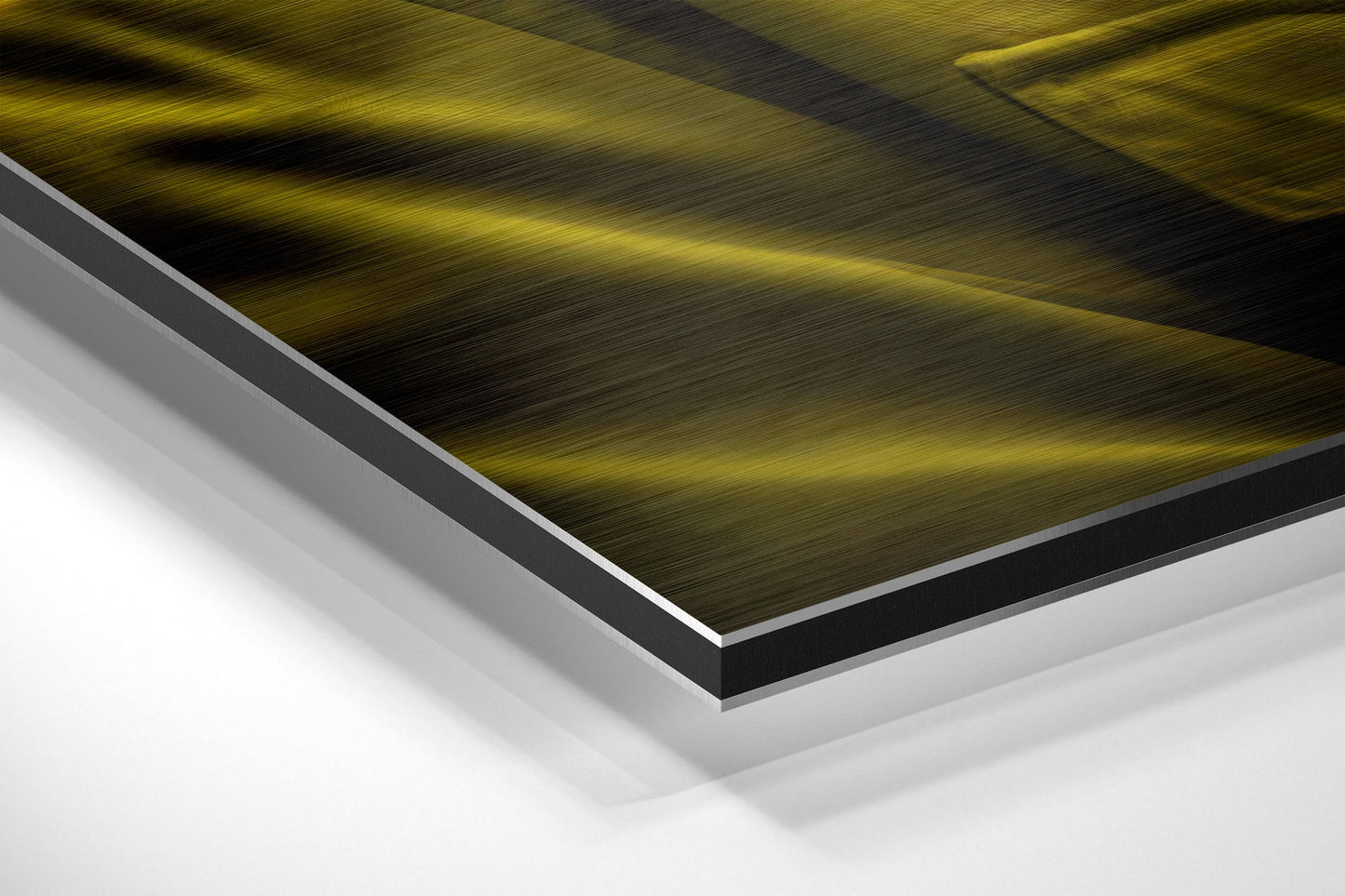 Cool Monkey Brushed Aluminum Dibond Wall Art