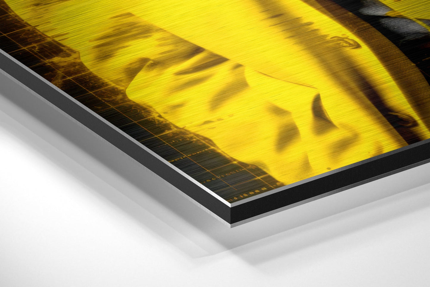 Einstein - I Told You Brushed Aluminum Dibond Wall Art