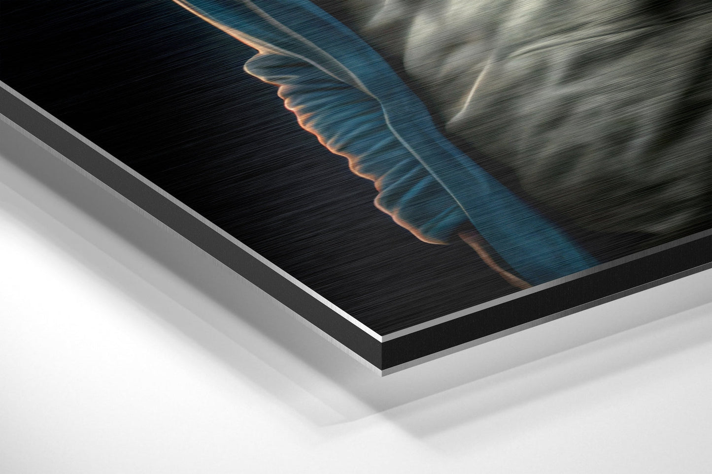 Anger of the Ape Brushed Aluminum Dibond Wall Art