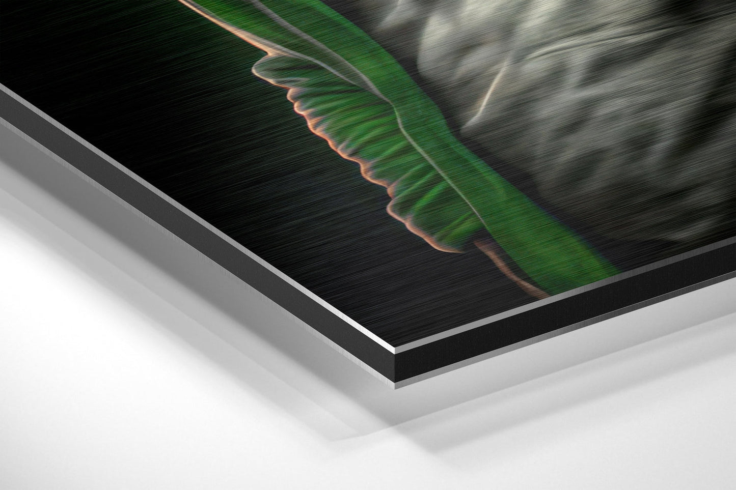 Anger of the Ape Brushed Aluminum Dibond Wall Art
