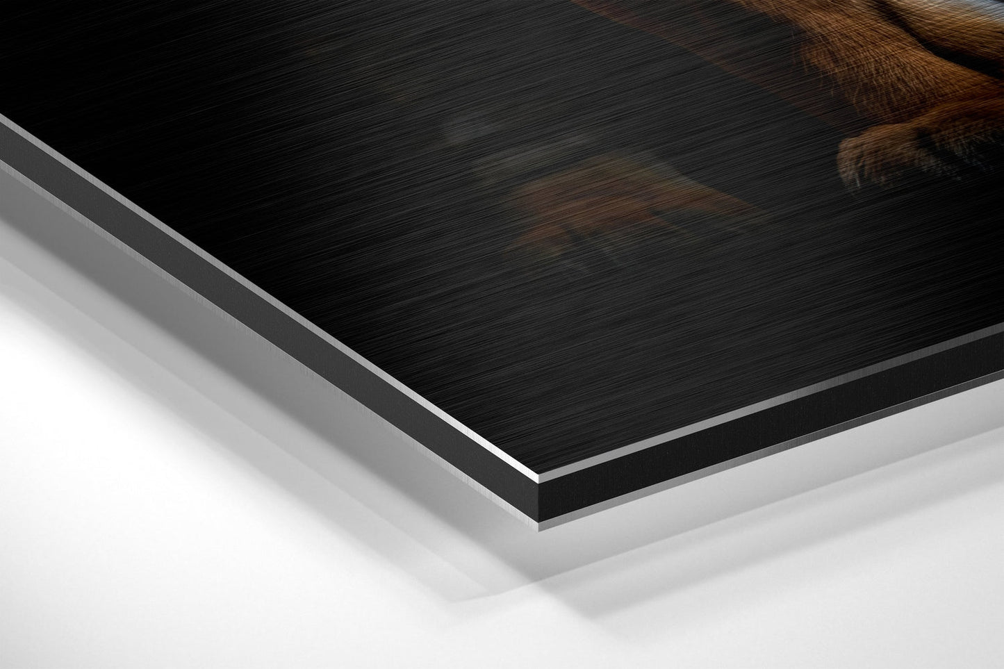 Tiger Brushed Aluminum Dibond Wall Art