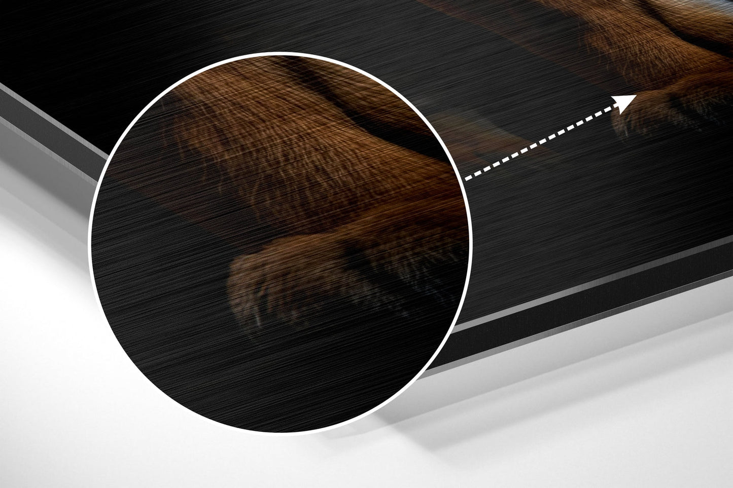 Tiger Brushed Aluminum Dibond Wall Art