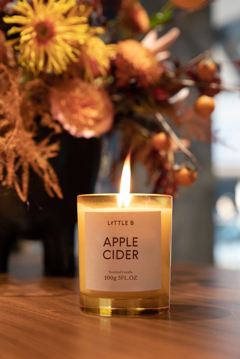 Apple Cider 100g Scented Candle-3