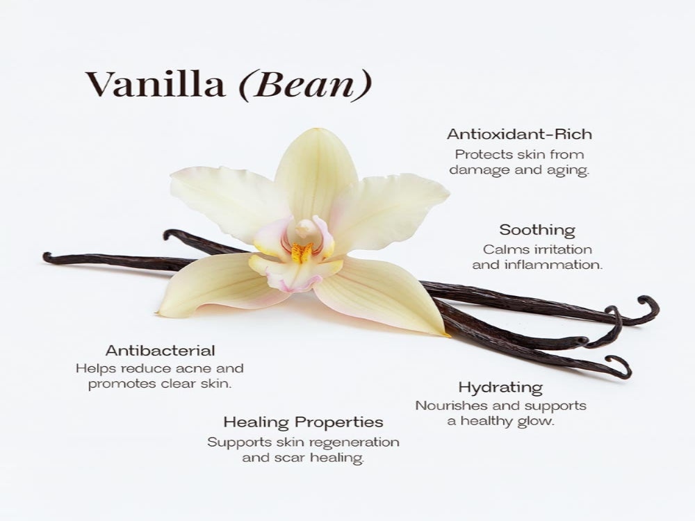 Whipped Grass-Fed Tallow Balm with Vanilla Bean-4