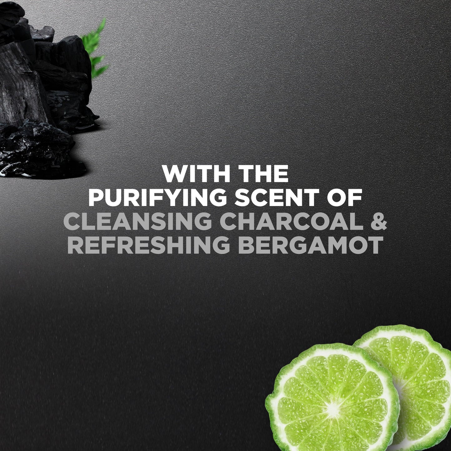 (4 Pack)  Elements Liquid Body Wash and Face Wash Charcoal + Clay Nourishing Cleanser, 30 Oz