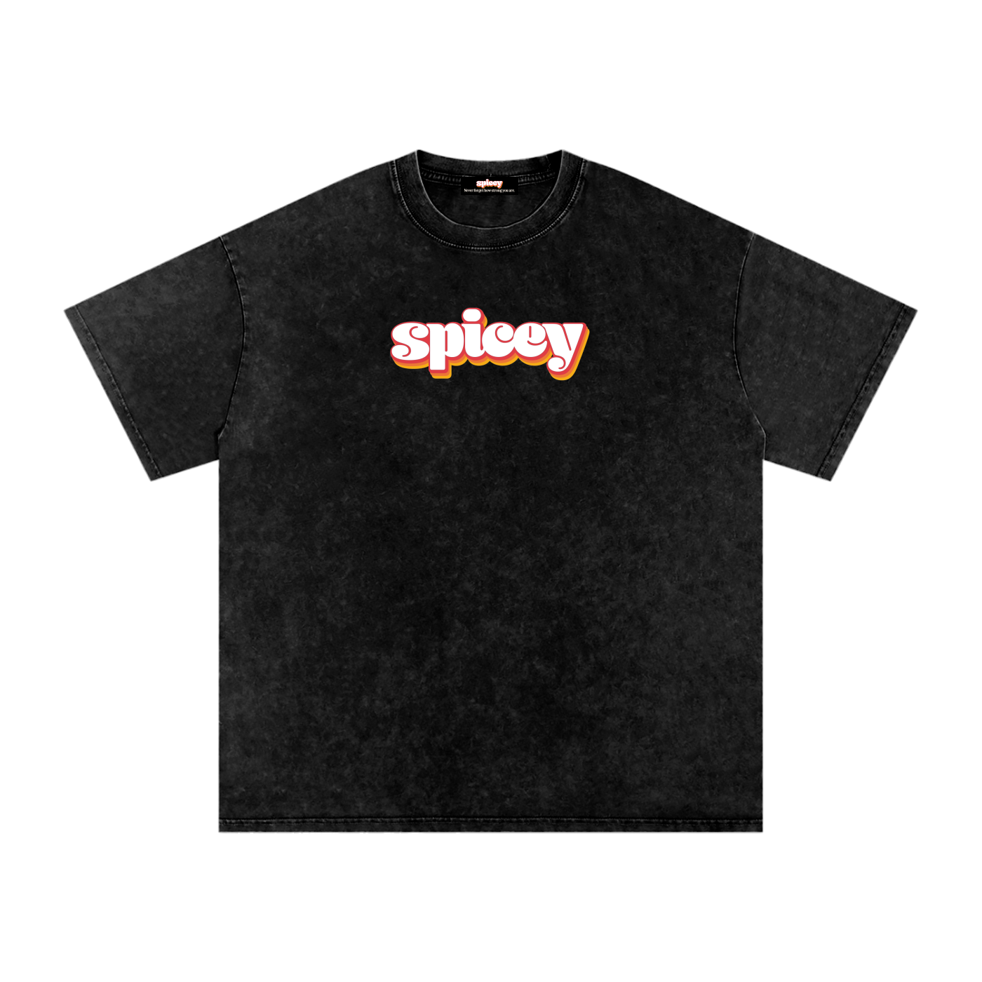 Spicey Vintage Logo Oversized T-Shirt-0