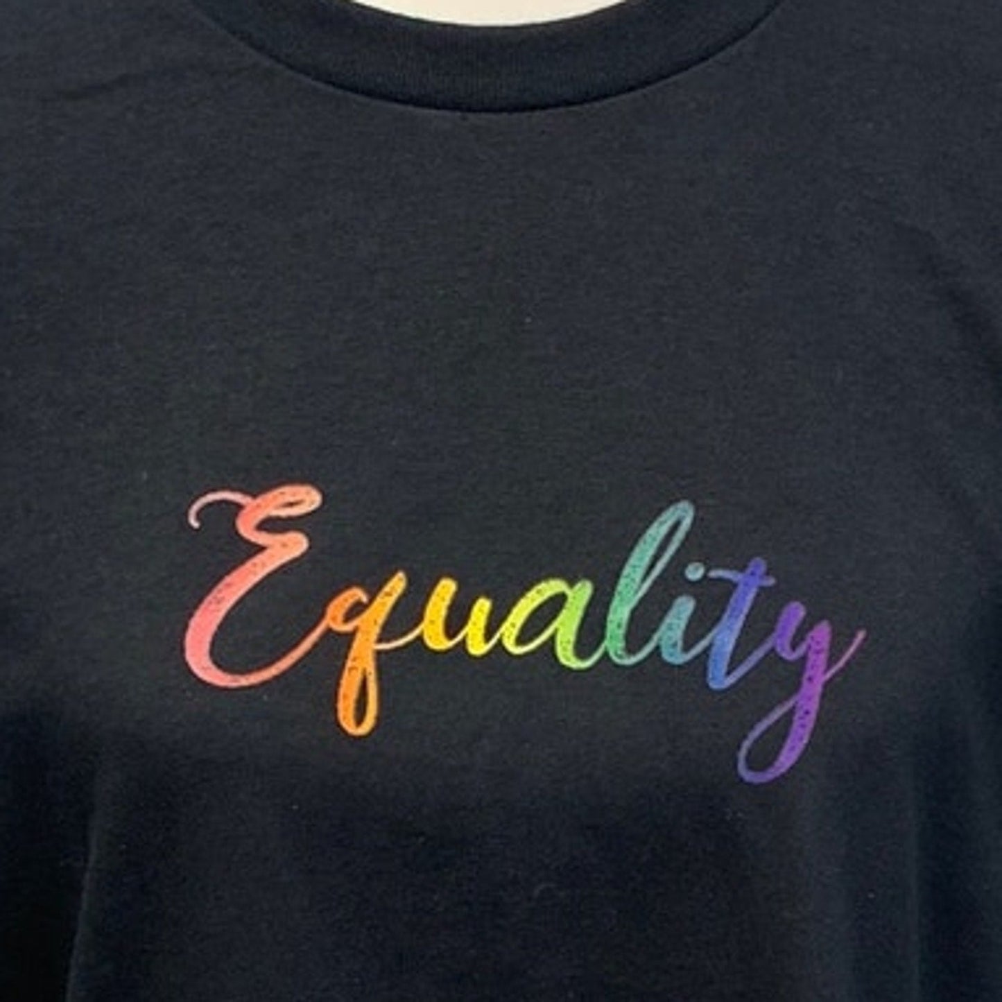Hand Printed Unisex Medium Equality Rainbow Pride Cotton Crew Short Sleeve Tee