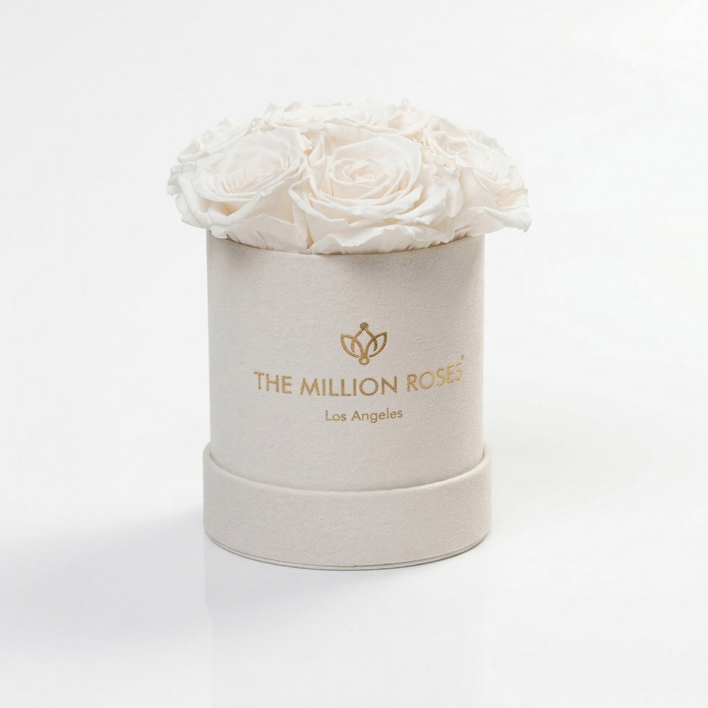 Basic Beige Suede Box | White Roses