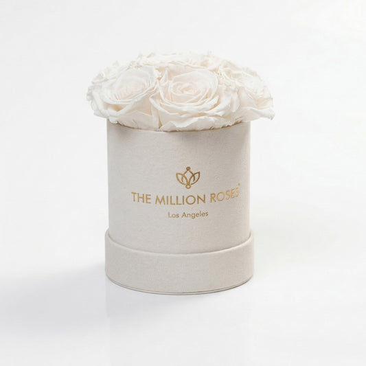 Basic Beige Suede Box | White Roses