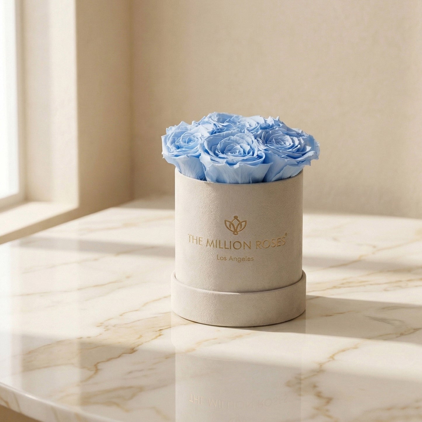 Essence Beige Suede Box | Light Blue Roses