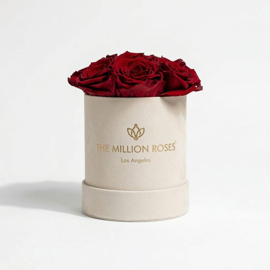 Basic Beige Suede Box | Red Roses