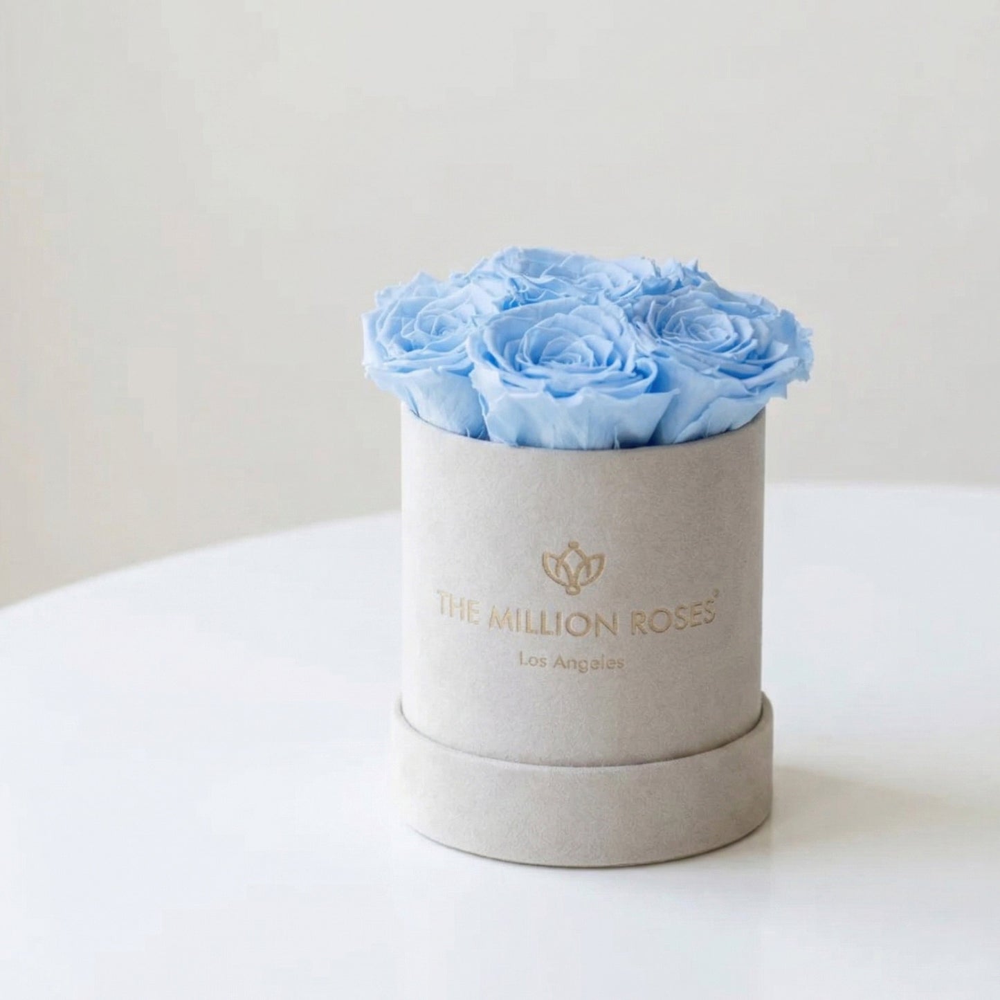 Essence Beige Suede Box | Light Blue Roses