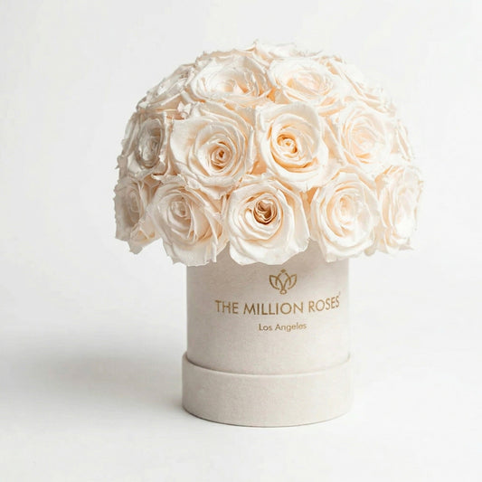 Basic Beige Suede Superdome Box | White Roses