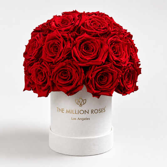 Basic Beige Suede Superdome Box | Red Roses
