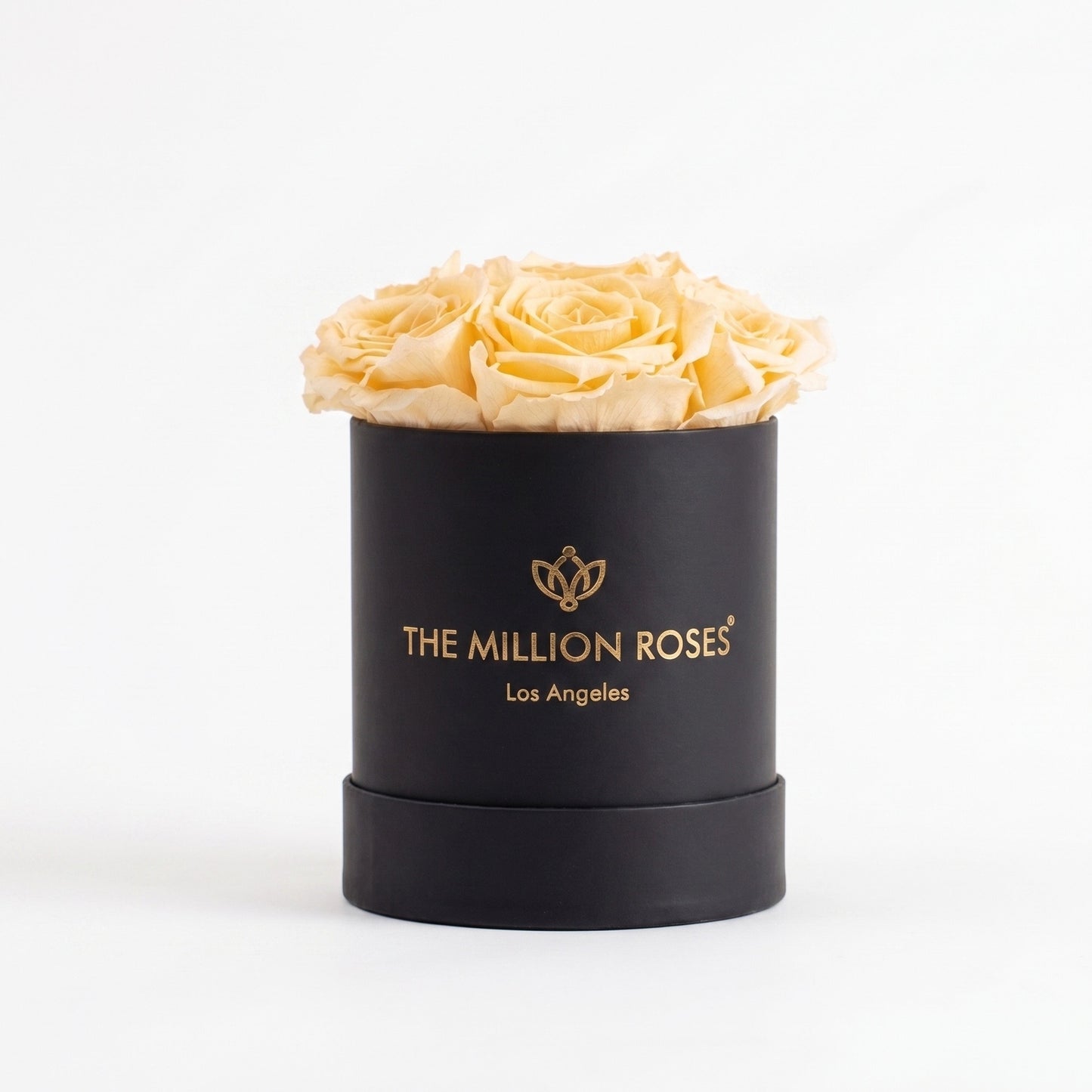 Basic Black Box | Ivory Roses
