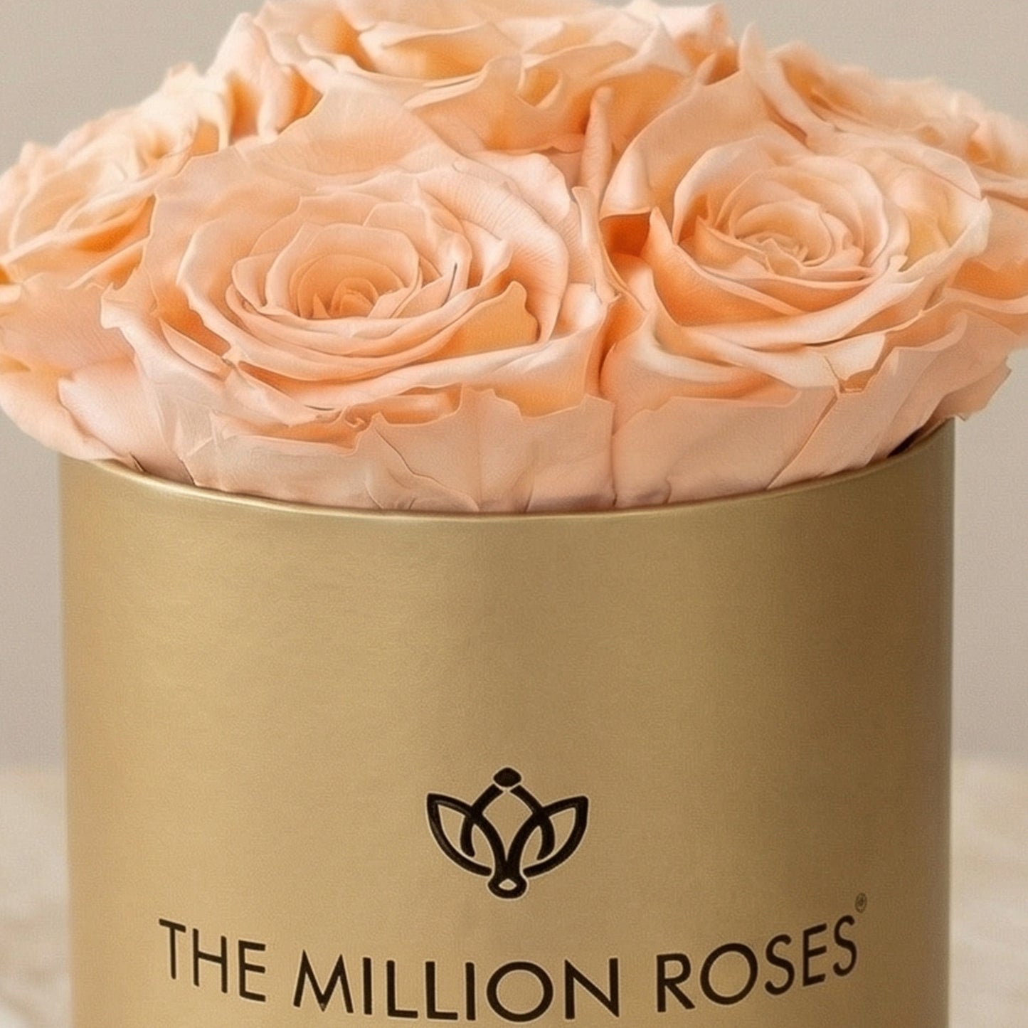 Basic Gold Box | Peach Roses