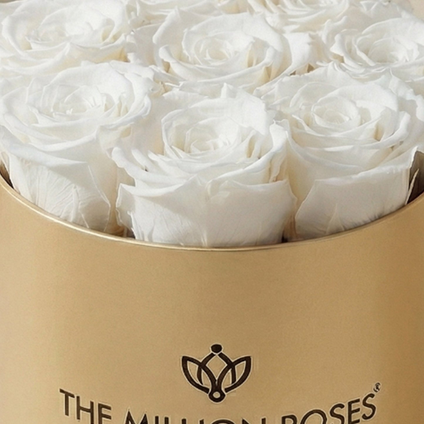 Basic Gold Box | White Roses
