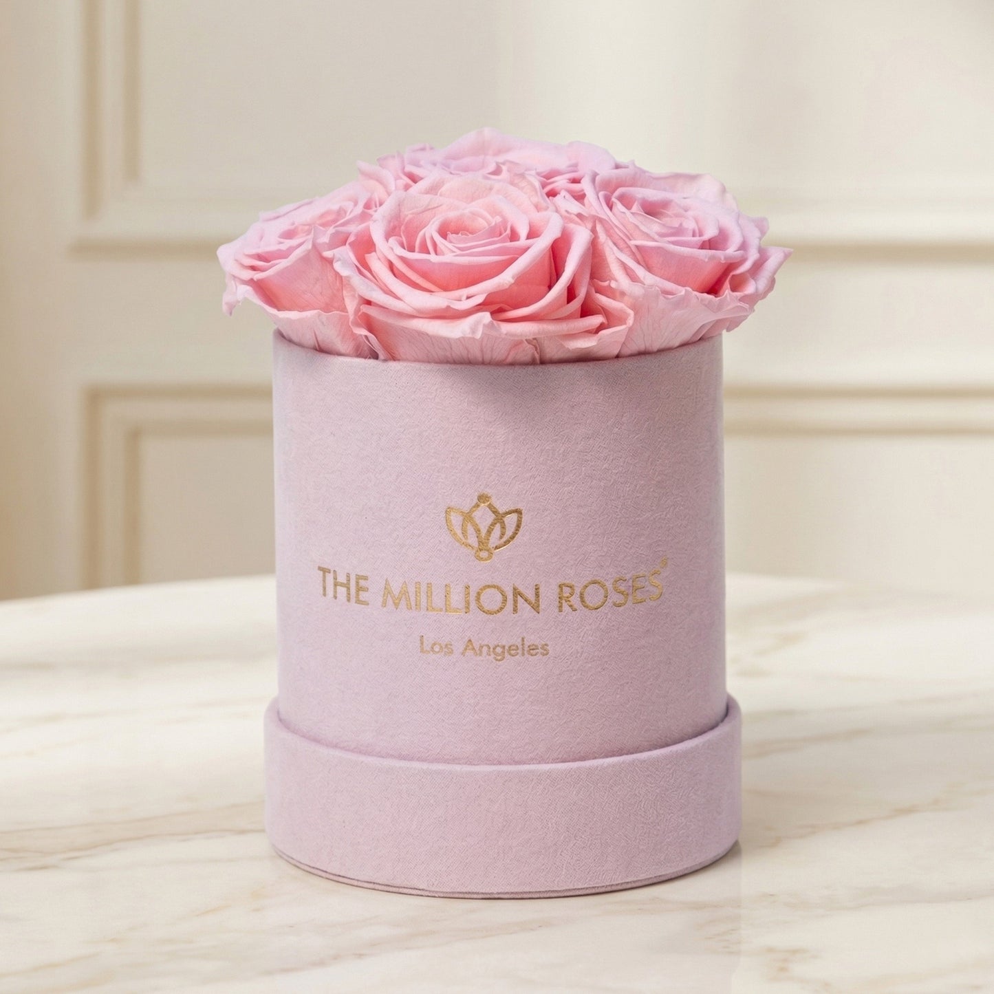 Basic Light Pink Suede Box | Light Pink Roses
