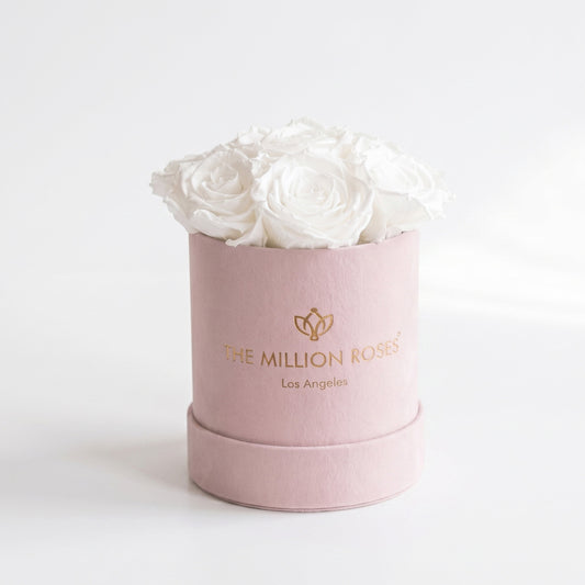 Basic Light Pink Suede Box | White Roses