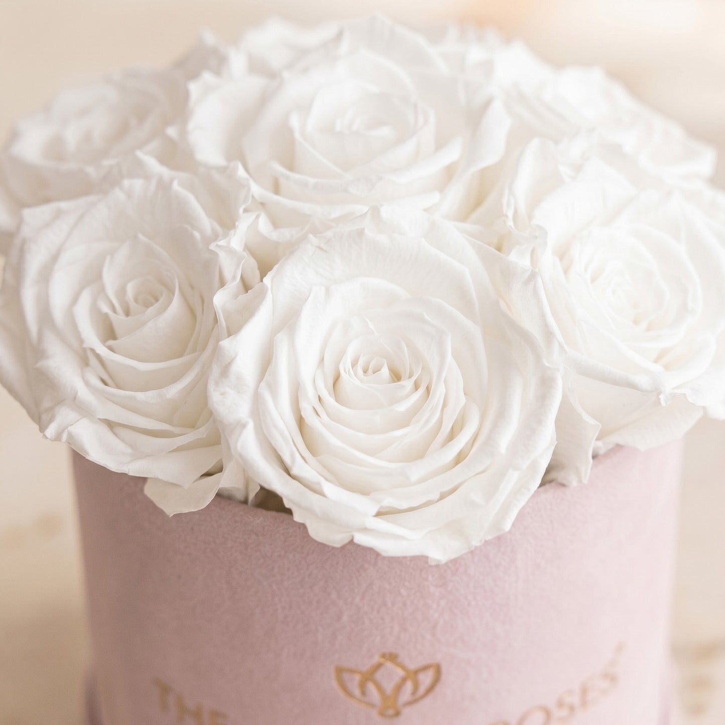 Basic Light Pink Suede Box | White Roses