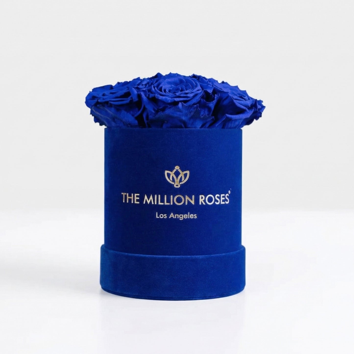 Basic Royal Blue Suede Box | Royal Blue Roses