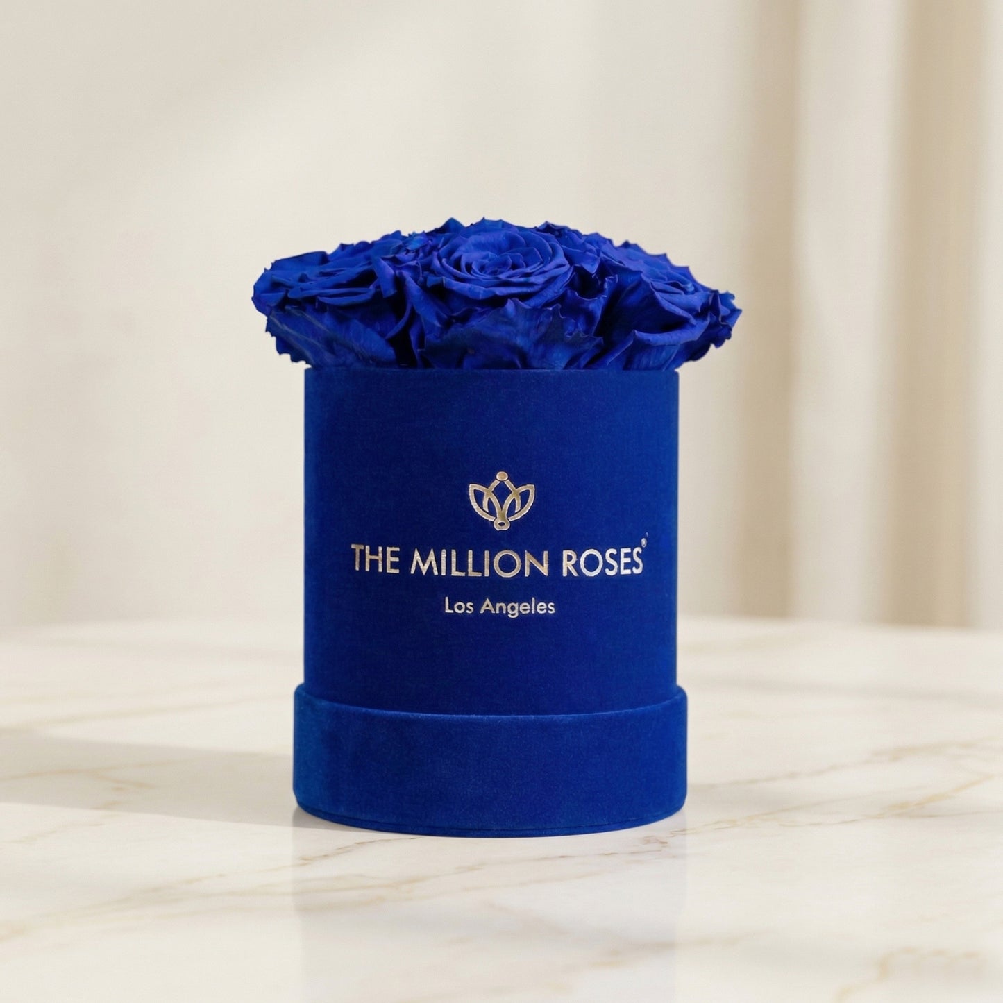 Basic Royal Blue Suede Box | Royal Blue Roses