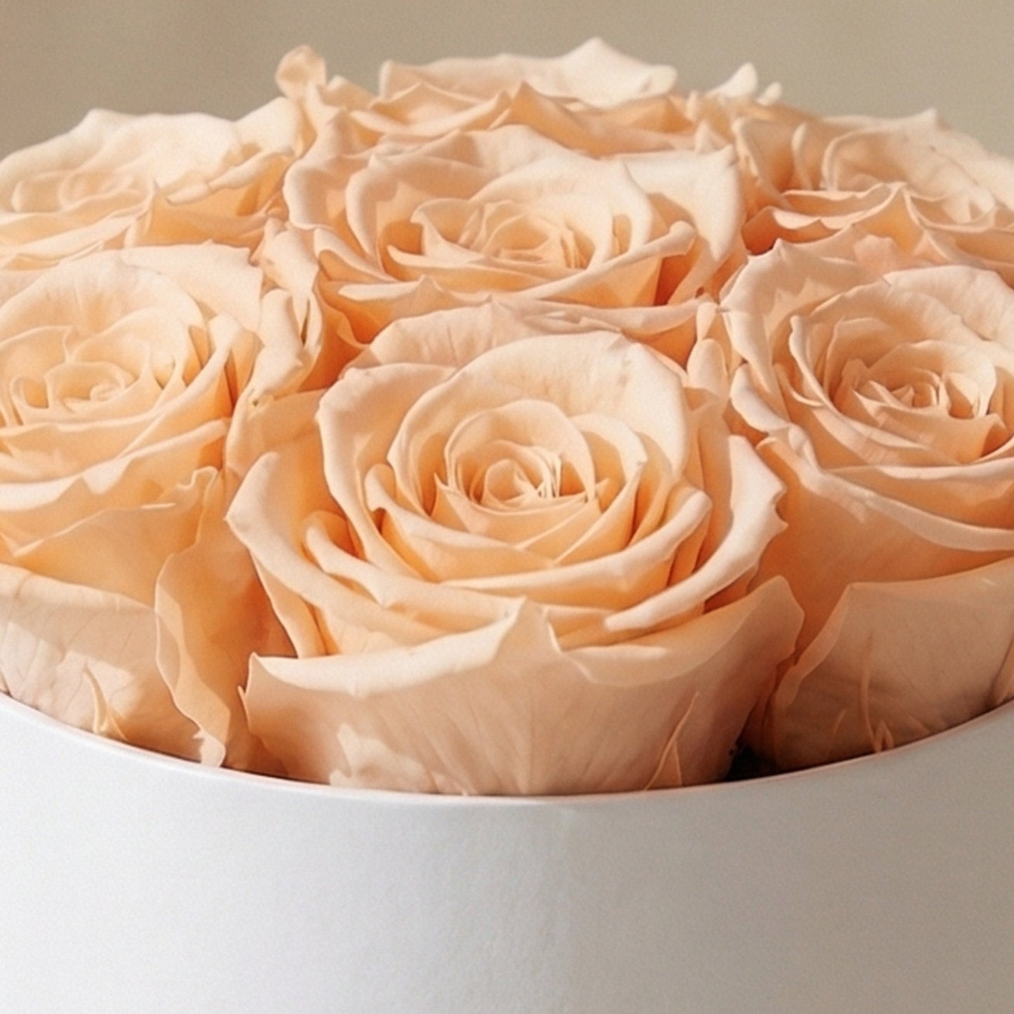 Basic White Box | Peach Roses