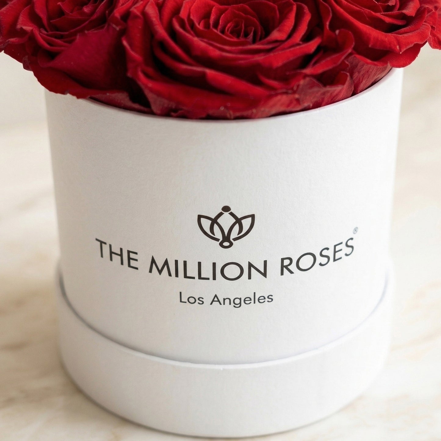 Basic White Box | Red Roses